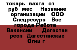 токарь. вахта. от 50 000 руб./мес. › Название организации ­ ООО Спецресурс - Все города Работа » Вакансии   . Дагестан респ.,Дагестанские Огни г.